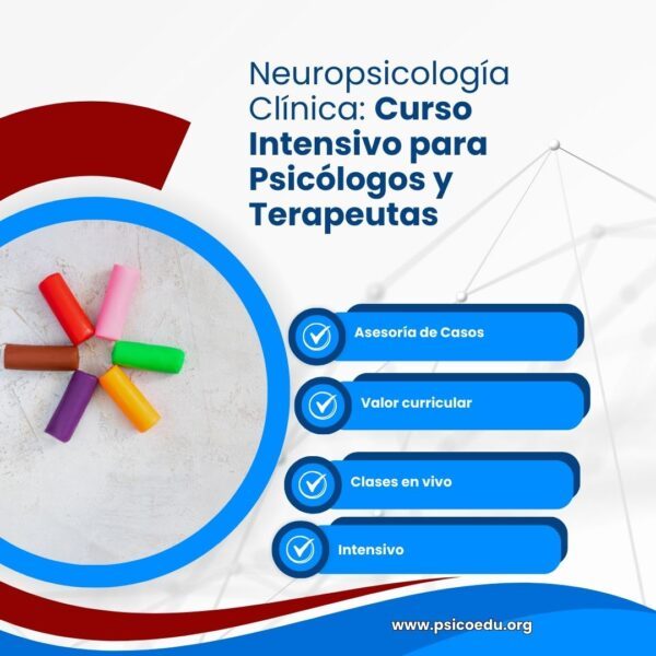 21.1 Neuropsicologia